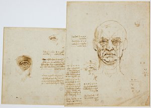 Estudios de proporciones de la cara y el ojo (con notas) de Leonardo da Vinci